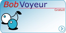 Bobvoyeur