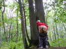 Photo amateur