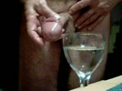 cocktail cocktail