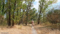 Long live the freedom of being naked in the woods! Come join me for the fun!
