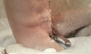 Photo amateur