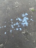 Ejac au parc...