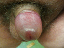Photo amateur