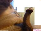 Photo amateur