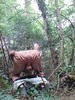 Photo amateur