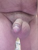 Photo amateur