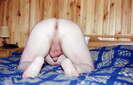 Photo amateur