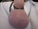 Photo amateur