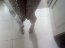 Photo amateur