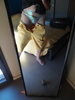 culotte sissy en organza