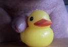 Photo amateur