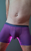 boxer transparent 