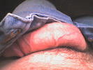 Photo amateur