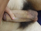 Photo amateur