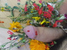 Photo amateur