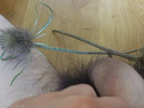 Photo amateur