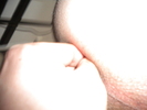 Photo amateur