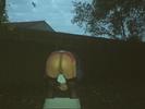 Photo amateur