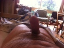 Photo amateur