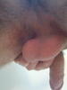 Photo amateur