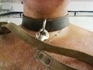 un collier et une laisse pour une bonne chienne