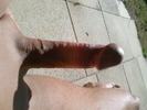 Photo amateur