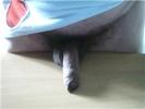 Photo amateur