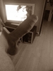 Photo amateur