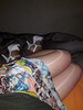 Photo amateur
