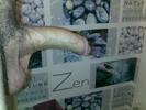 Photo amateur