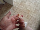 Photo amateur