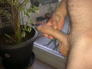 Photo amateur