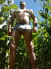 Photo amateur