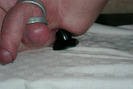 Photo amateur