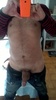 Photo amateur