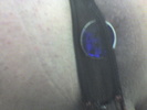 Photo amateur