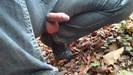 Photo amateur