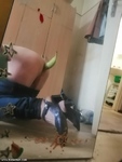 tlchargement3.jpeg
