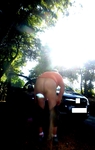 P1570558_NEW_NEW.jpg