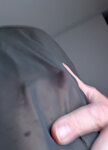 PXL_20250103_080703062.jpg