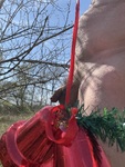 IMG_0152.jpeg