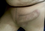 IMG_8288.jpeg