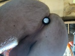 IMG20250409121048.jpg
