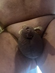 IMG_0543.jpeg