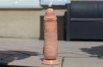 G0055104.JPG
