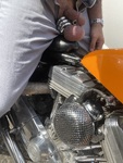 IMG_6906.jpeg