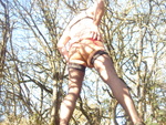 DSC01278.JPG
