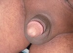 SAM_5547.JPG