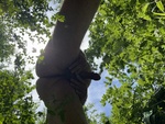 IMG_7782.jpeg