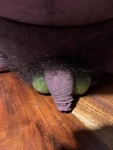 IMG_2021.jpeg